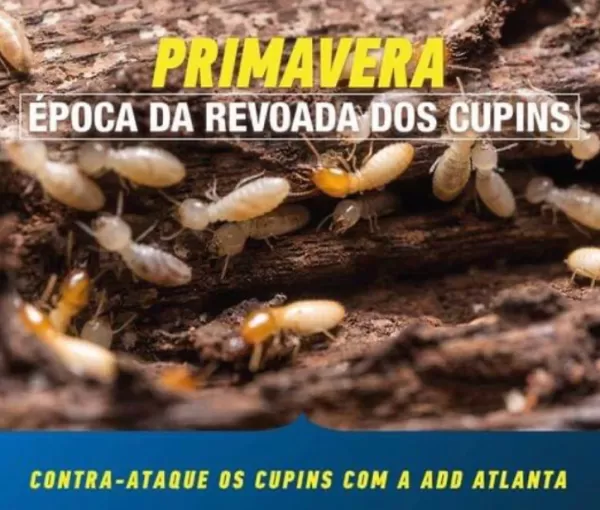 Dedetizadora em São José dos Pinhais