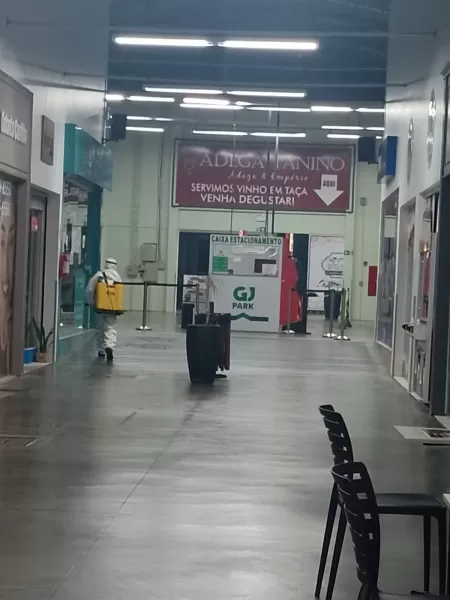 Dedetizadora em Curitiba e Região